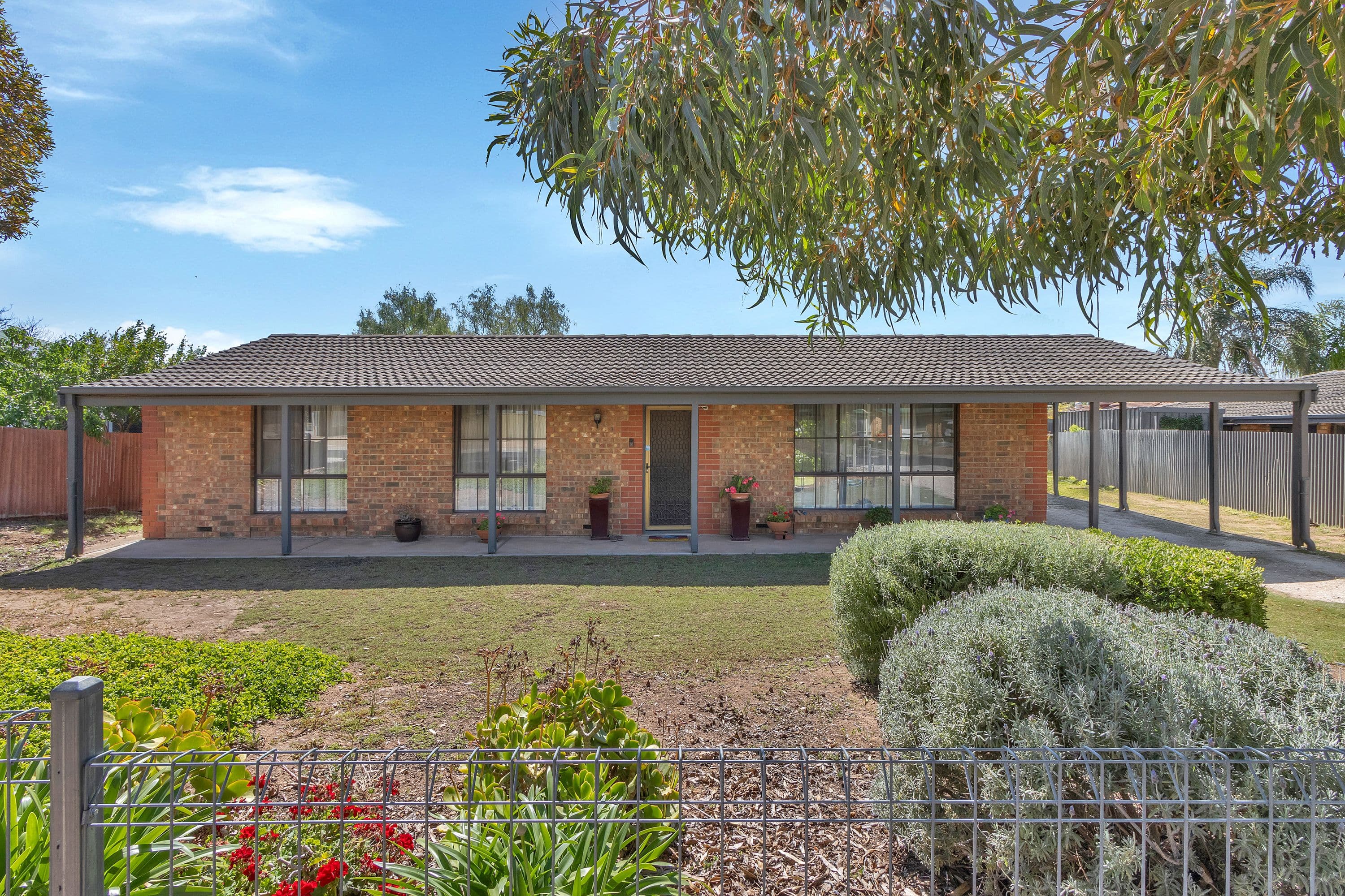 29 Haines Road, Willaston SA 5118, Willaston - Thumbnail 2