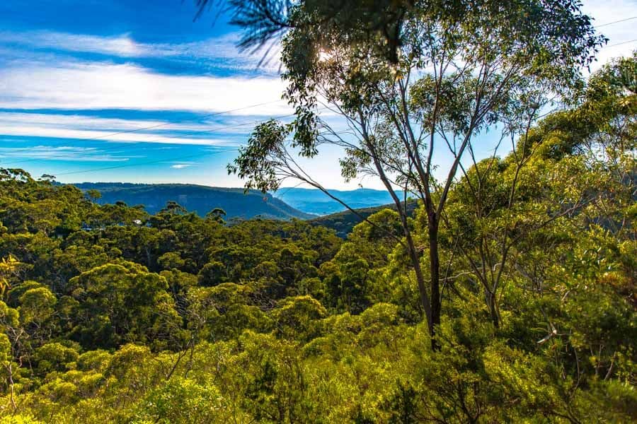 Lot 3 Helvetia Rd (Access from Bundarra St), BLACKHEATH NSW 2785, Blackheath - Thumbnail 3