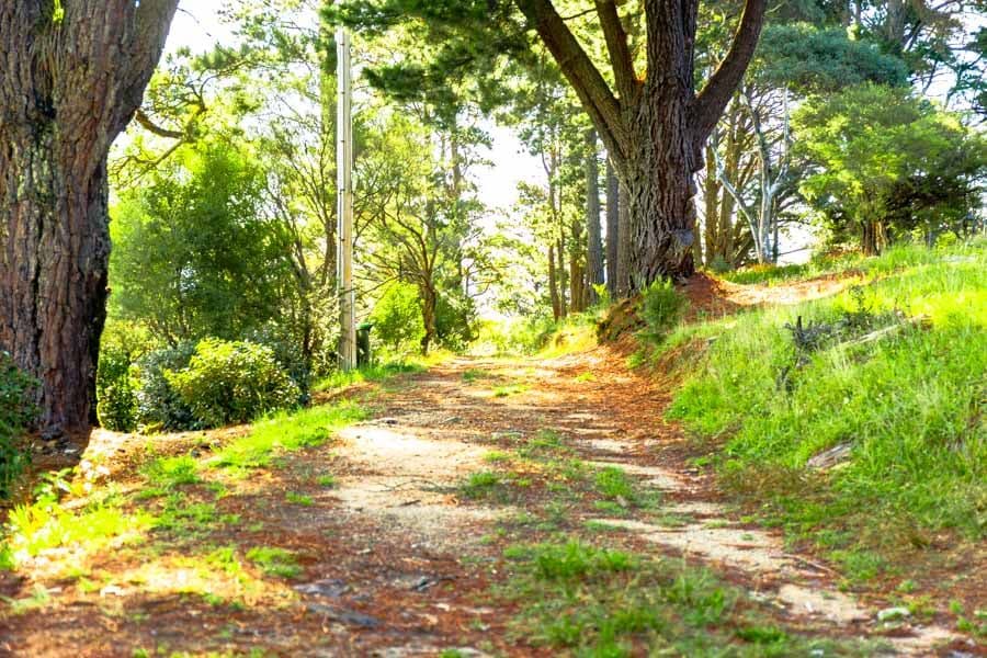 Lot 3 Helvetia Rd (Access from Bundarra St), BLACKHEATH NSW 2785, Blackheath - Thumbnail 7