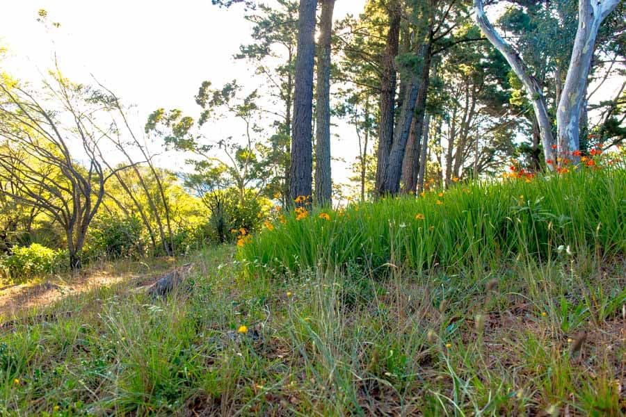 Lot 3 Helvetia Rd (Access from Bundarra St), BLACKHEATH NSW 2785, Blackheath - Thumbnail 8
