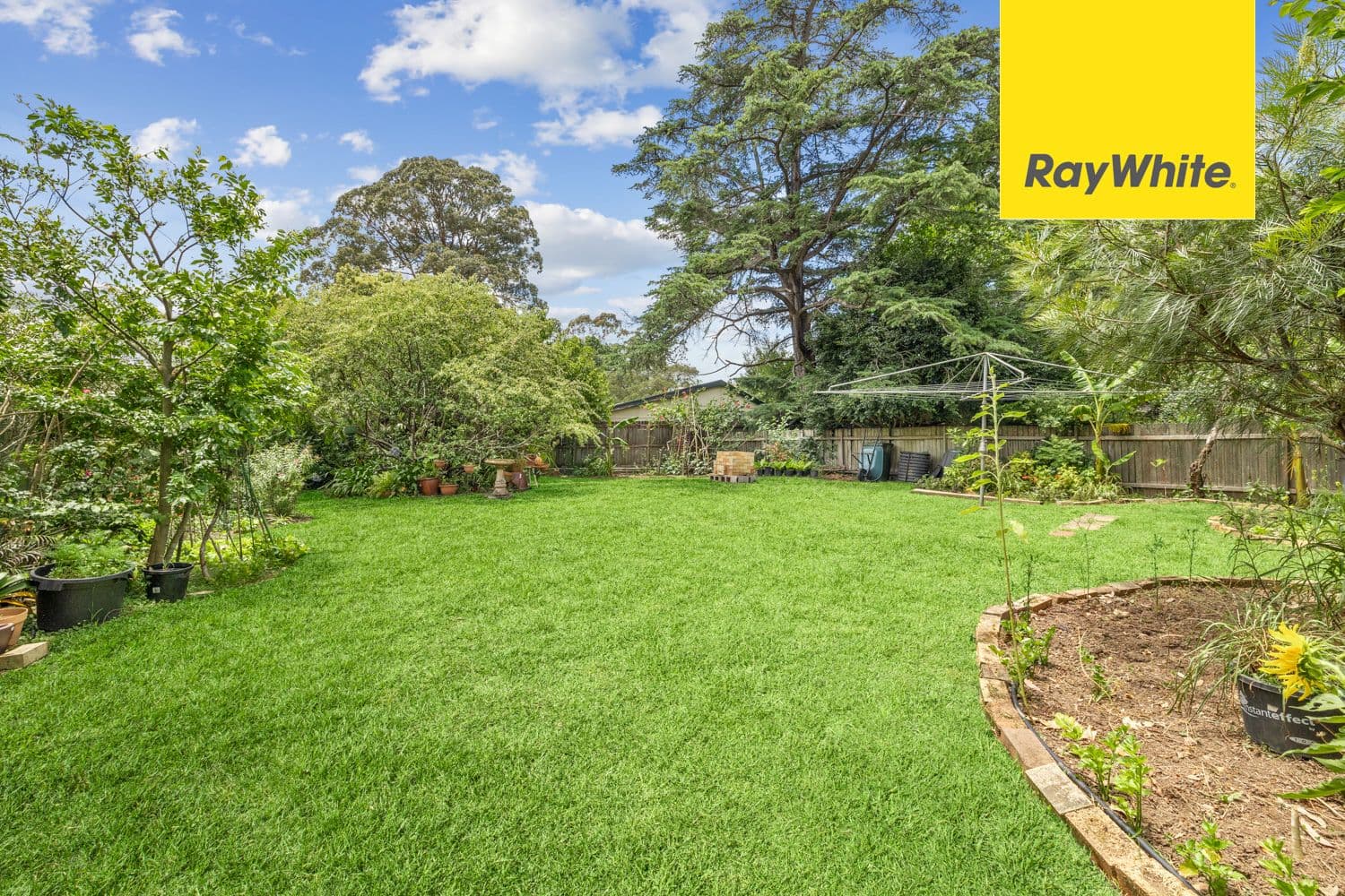 3 Brigadoon Court, Epping NSW 2121, Epping - Thumbnail 2