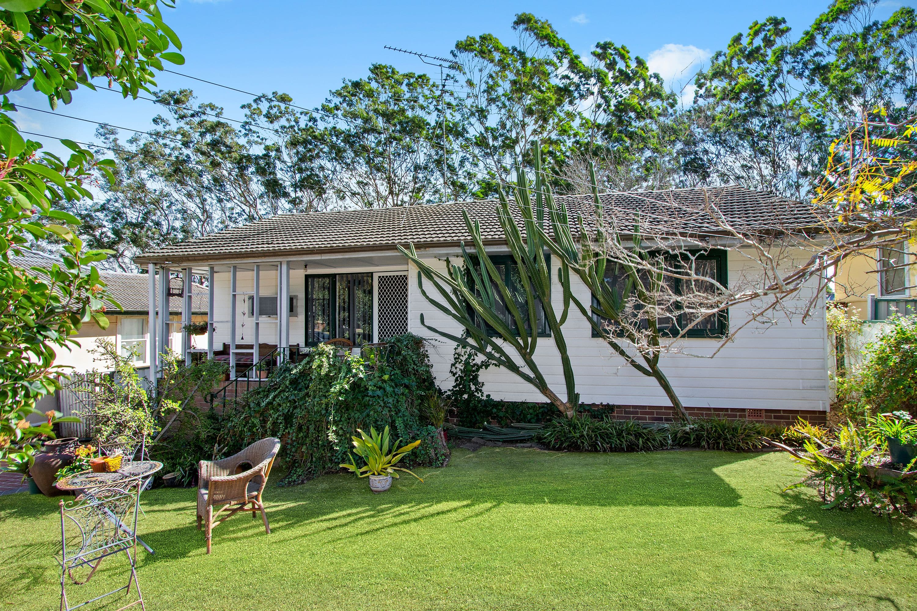 19 Mcquade Avenue, South Windsor - Thumbnail 6