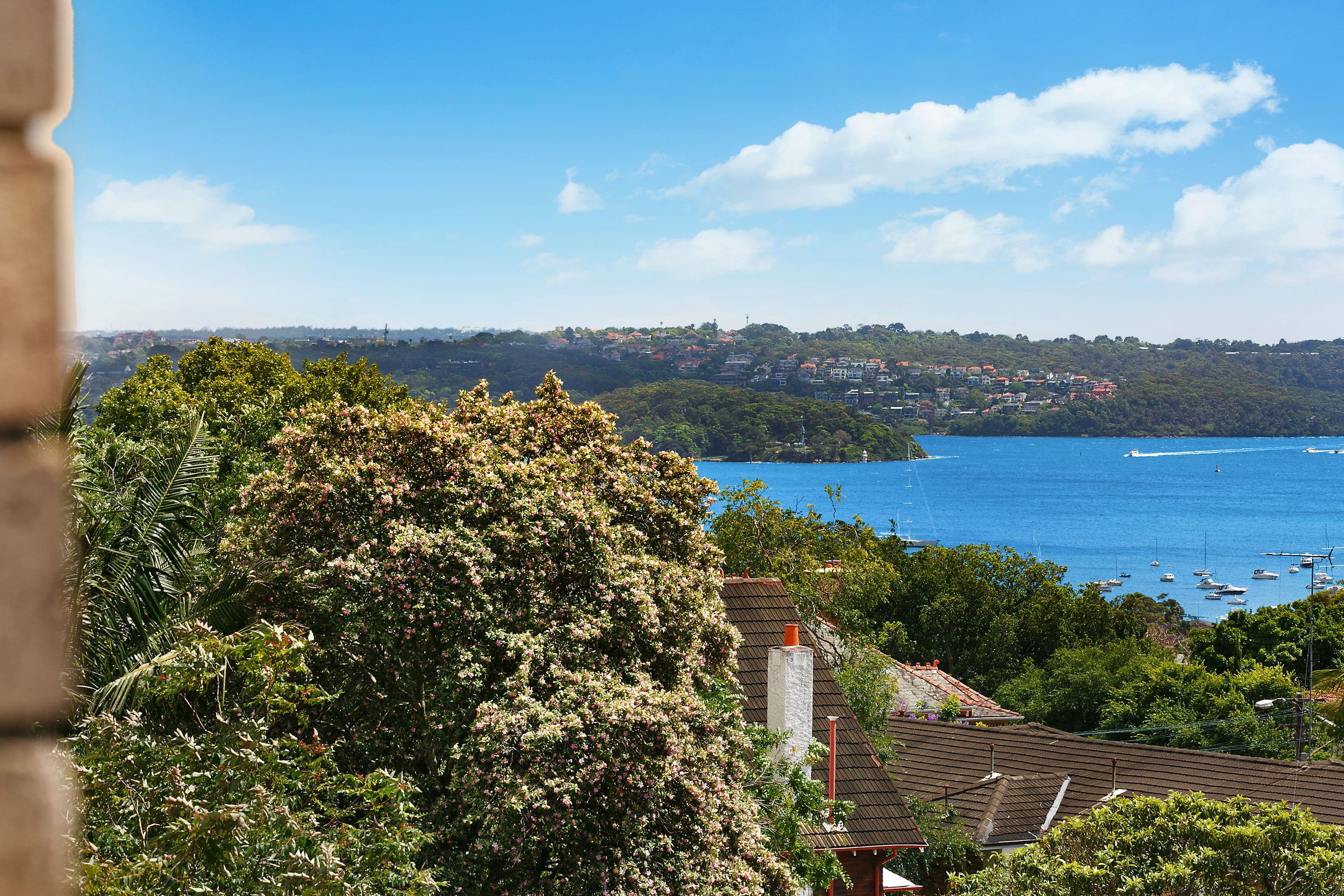 366 Edgecliff Road, Woollahra NSW 2025, Woollahra - Image 1