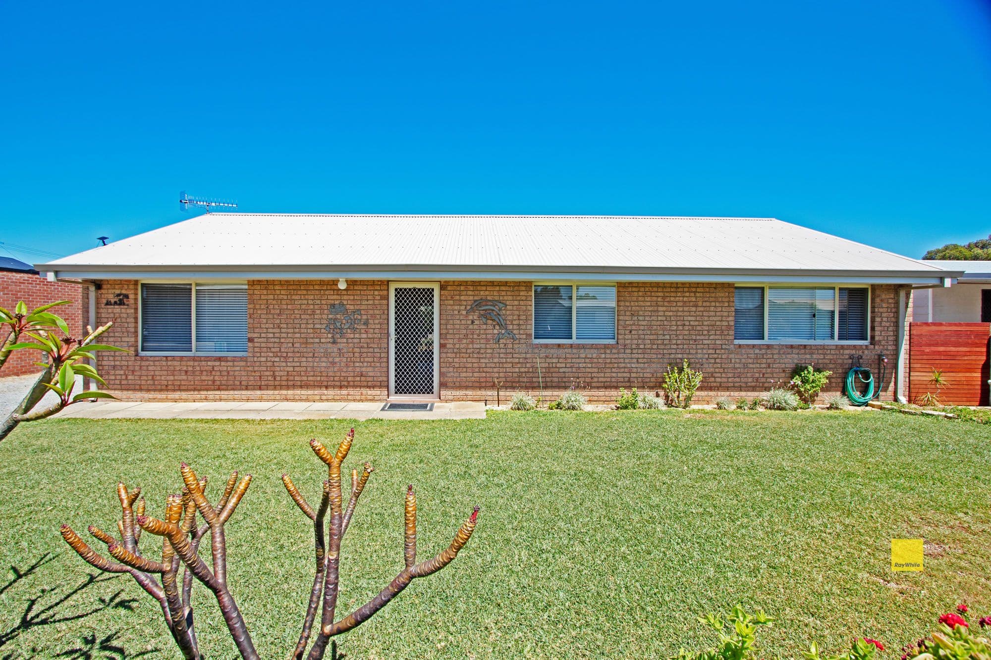 34 Ward Street, Jurien Bay WA 6516, Jurien Bay - Thumbnail 4