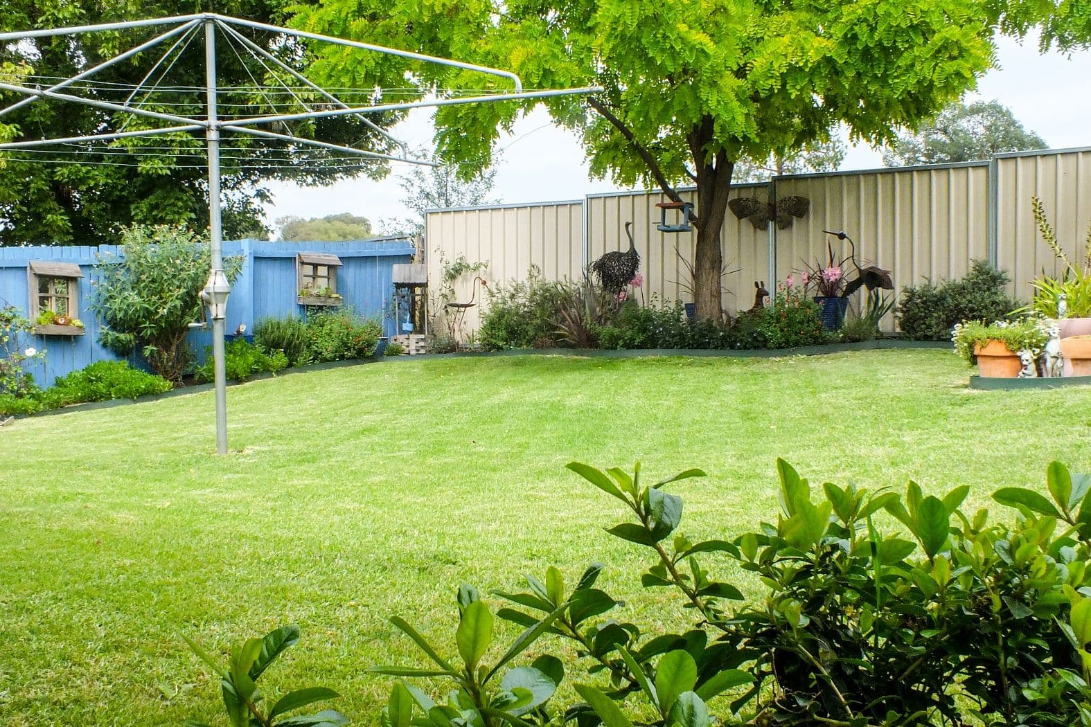 15 Lewins Street, South Bathurst - Thumbnail 8