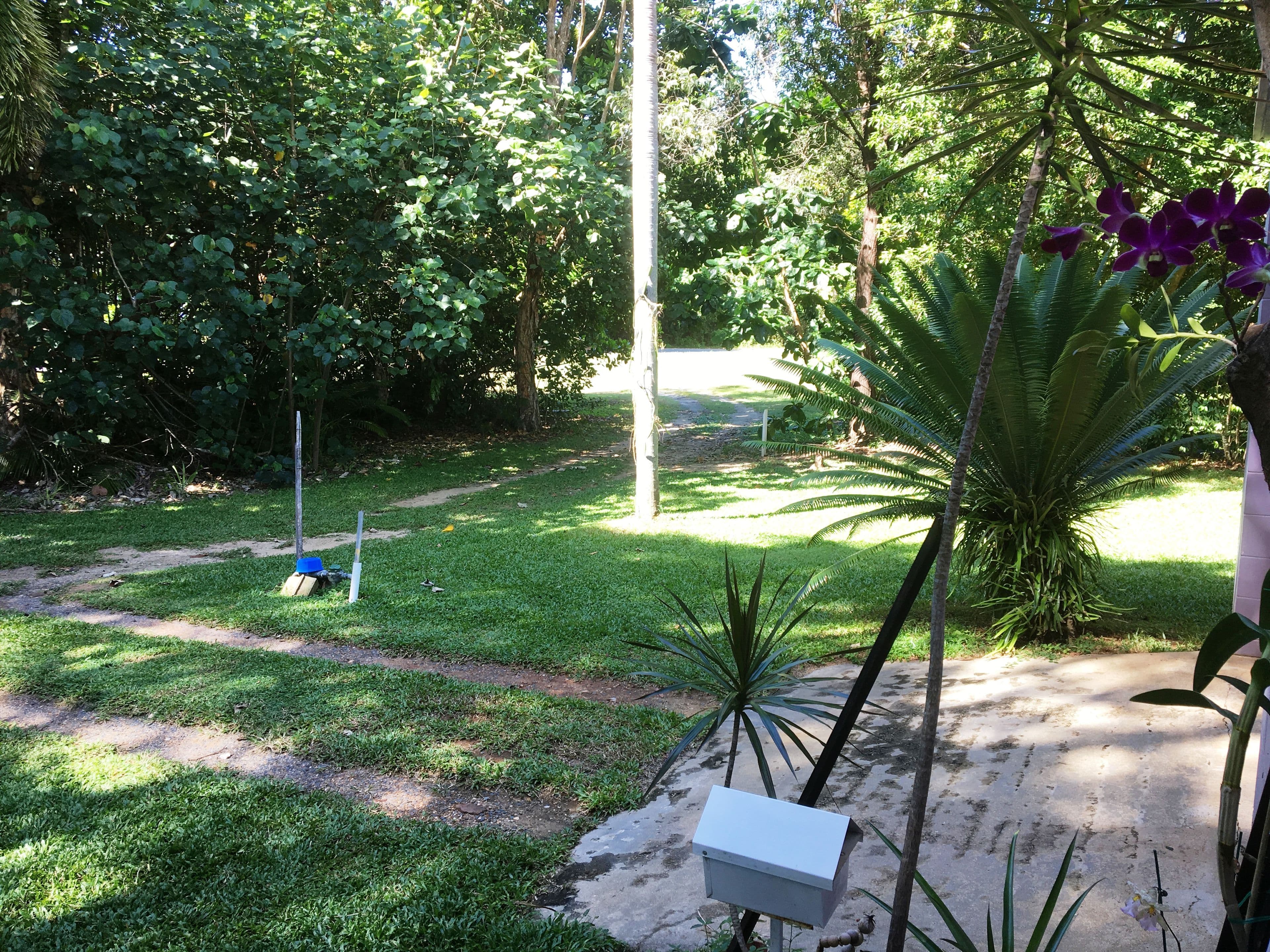 6-8 Esplanade, WONGA BEACH QLD 4873, Wonga Beach - Thumbnail 2