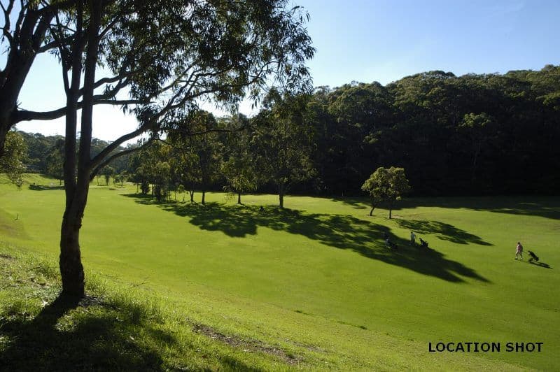 19  Third Avenue, LANE COVE NSW 2066, Lane Cove - Thumbnail 4