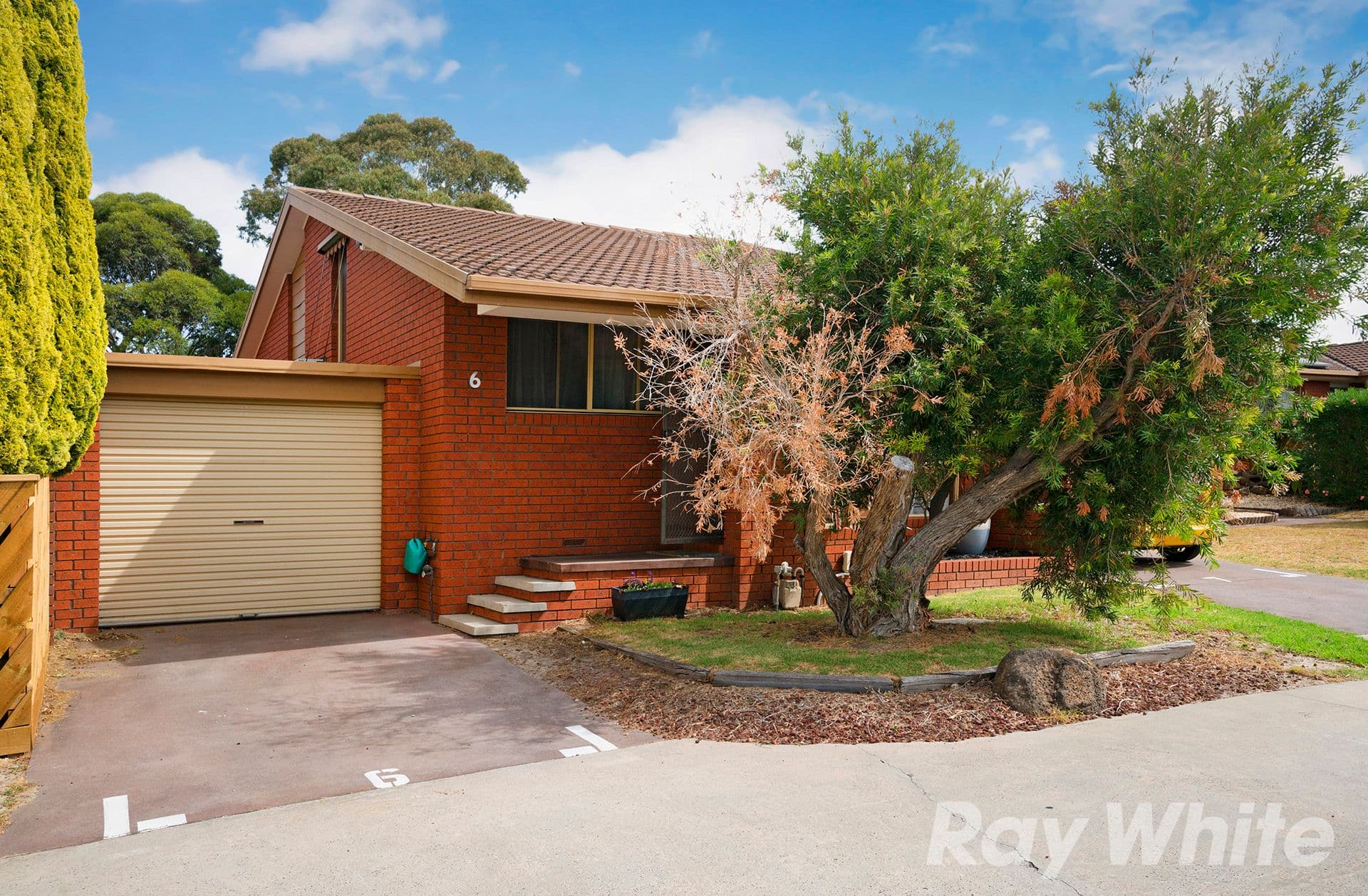 11 Hannah Street, Cheltenham VIC 3192, Cheltenham - Image 1