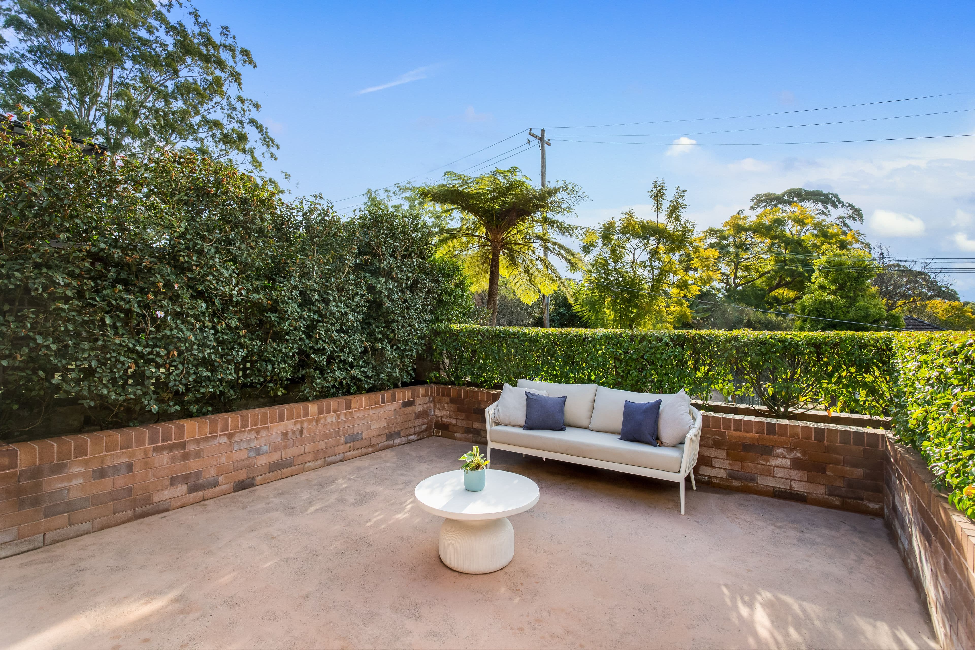 44 Sharland Avenue, Chatswood NSW 2067, Chatswood - Thumbnail 7