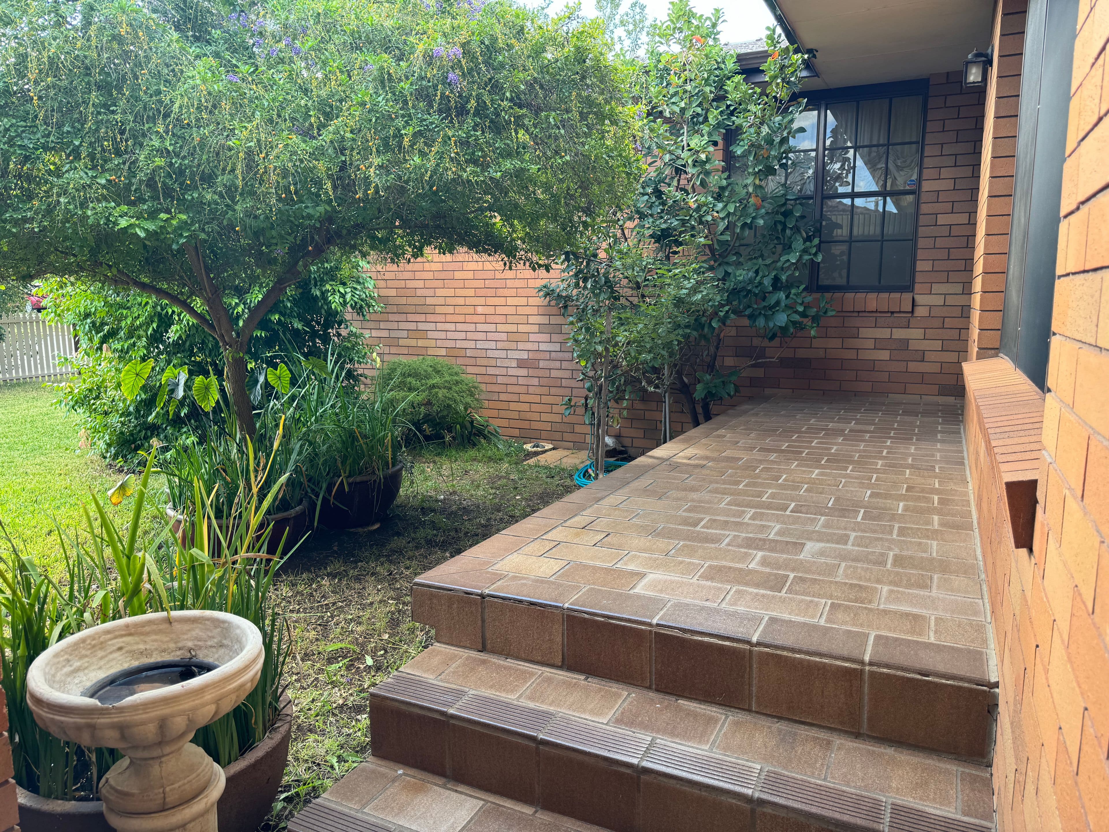 1 Seaward Avenue, Scone NSW 2337, Scone - Thumbnail 2