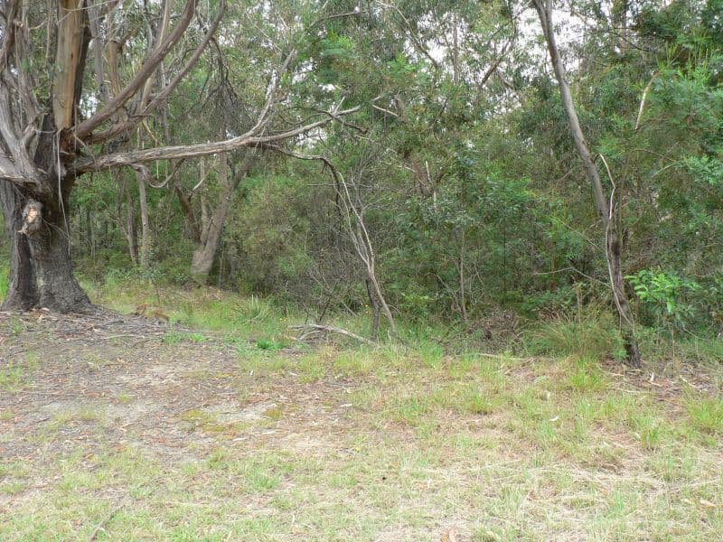 76-78 Pimelea Drive, Woodford NSW 2778, Woodford - Thumbnail 2