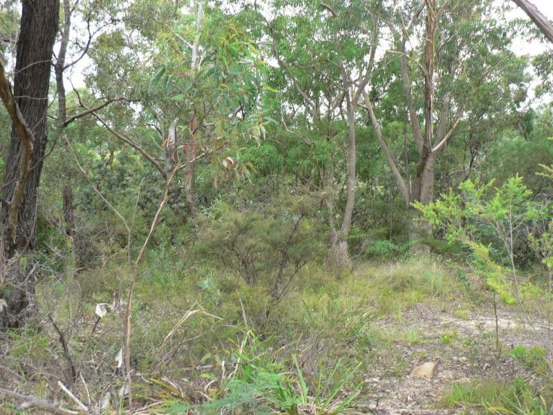 76-78 Pimelea Drive, Woodford NSW 2778, Woodford - Thumbnail 5