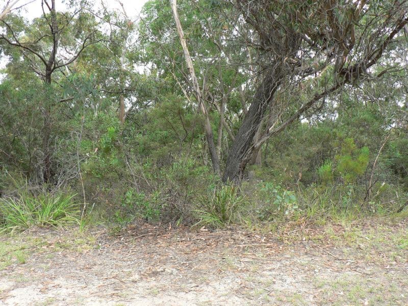 76-78 Pimelea Drive, Woodford NSW 2778, Woodford - Thumbnail 6