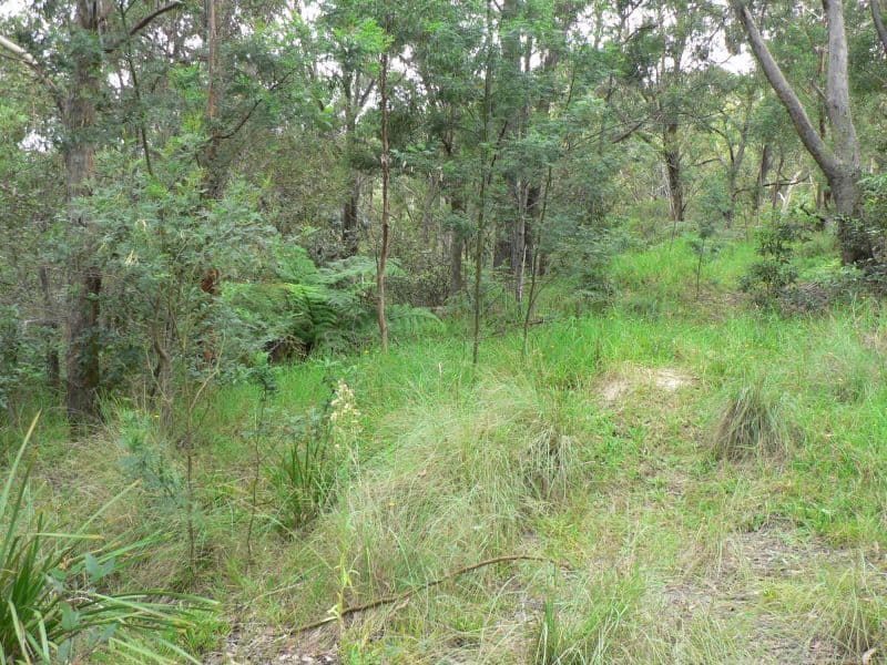 76-78 Pimelea Drive, Woodford NSW 2778, Woodford - Thumbnail 7