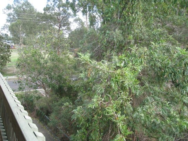 16 McCulla Street, SHERWOOD QLD 4075, Sherwood - Thumbnail 2