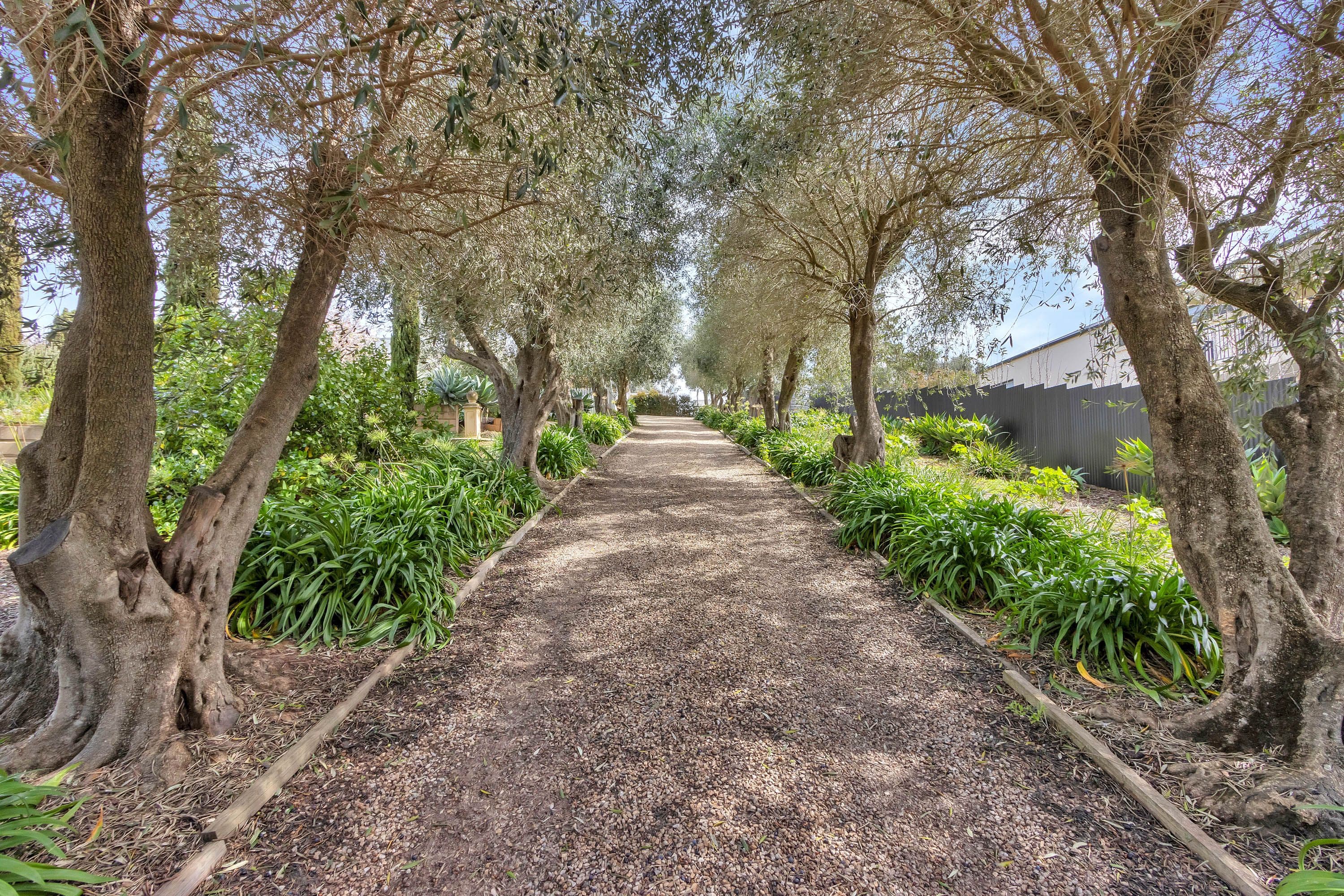 6 Howard Street, Angaston SA 5353, Angaston - Thumbnail 5