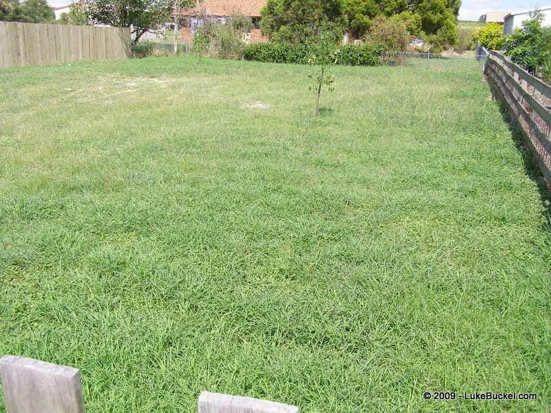 36 Tristania Street, YAMANTO QLD 4305, Yamanto - Thumbnail 3