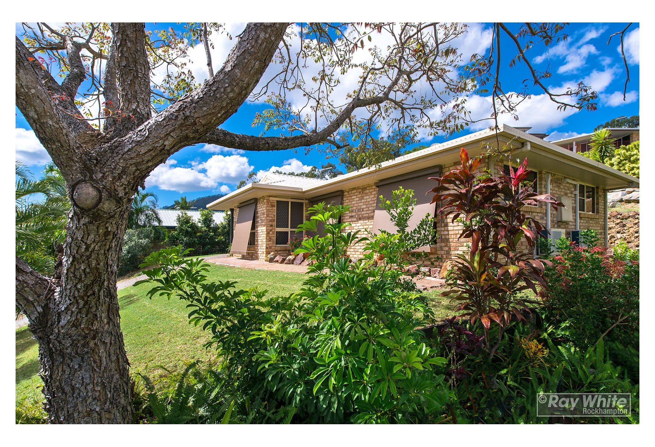 302 Everingham Avenue, Frenchville QLD 4701, Frenchville - Image 1
