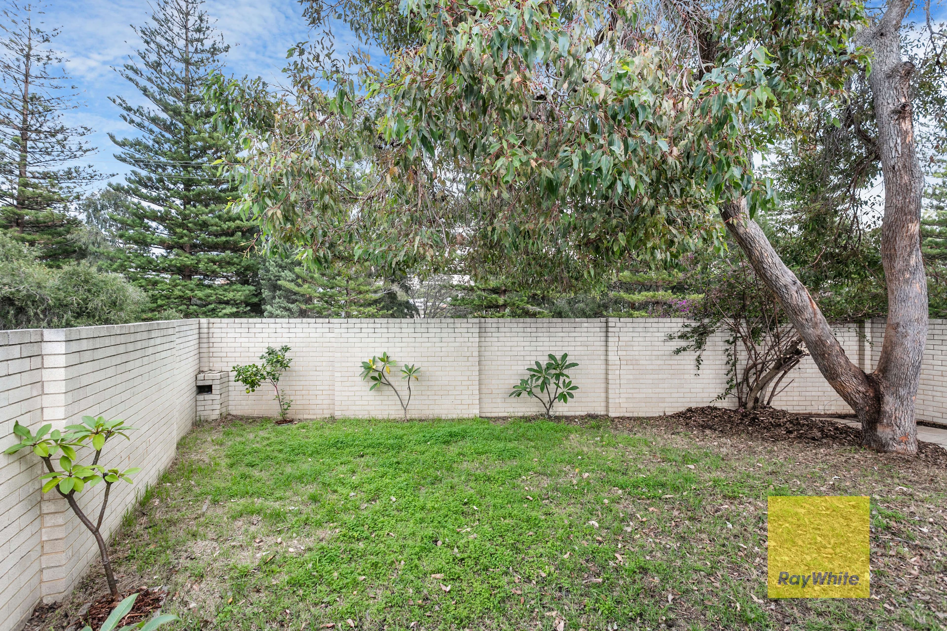 60 Railway Street, Cottesloe WA 6011, Cottesloe - Thumbnail 6