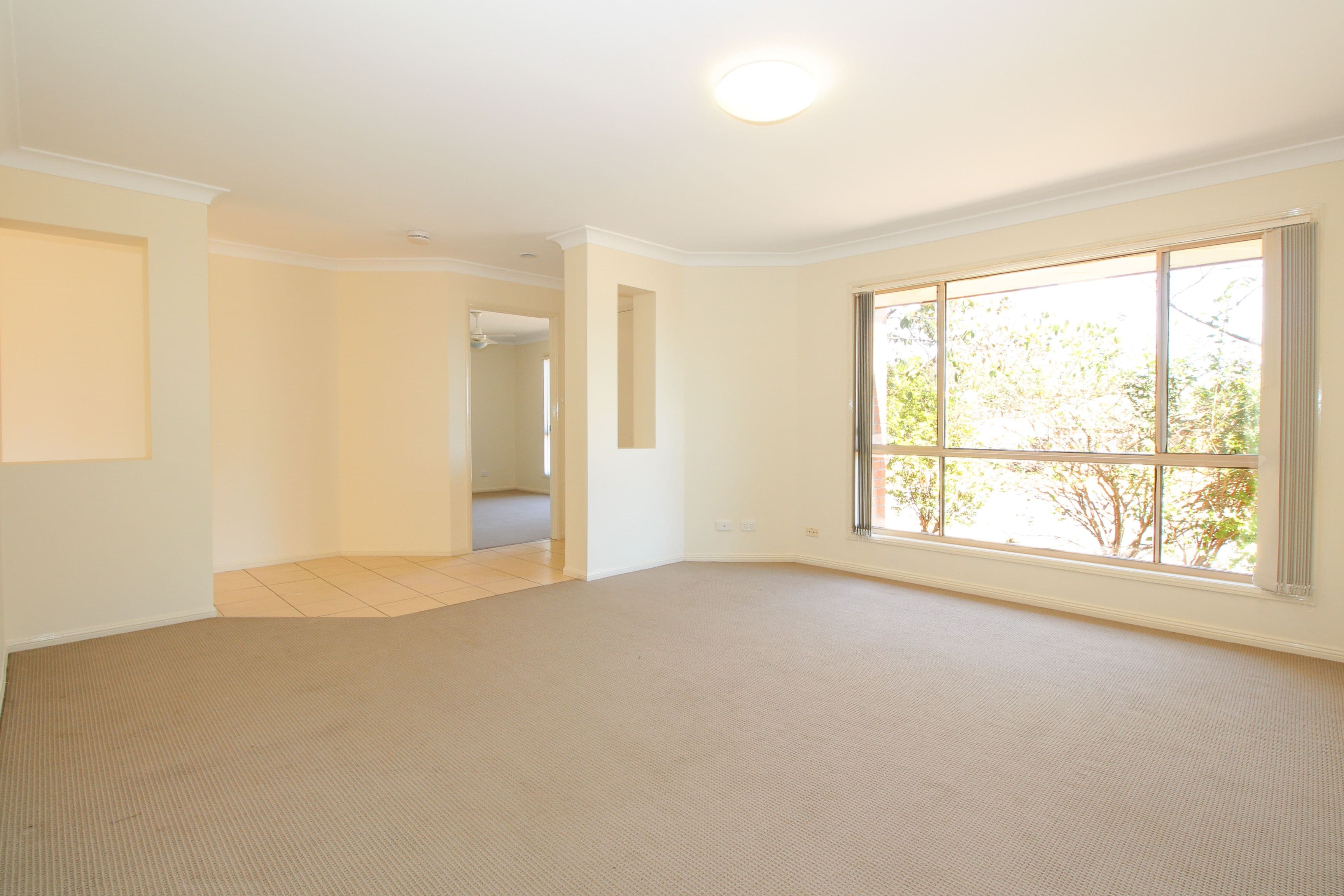 20 Dove Place, Springfield QLD 4300, Springfield - Thumbnail 2