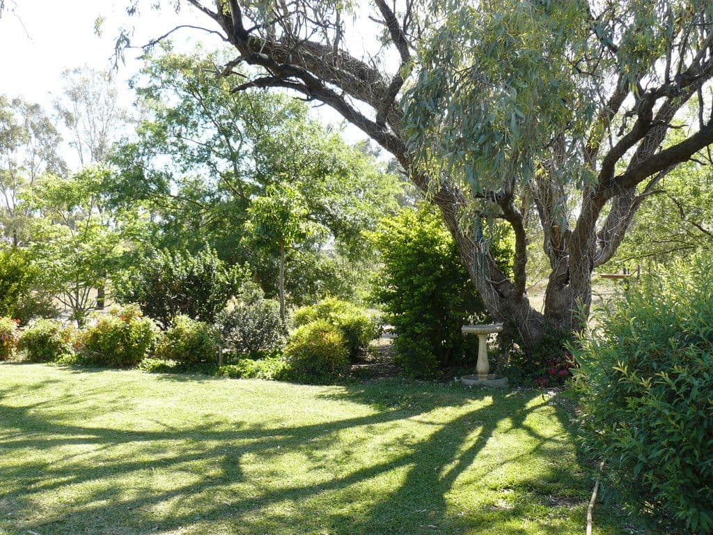 20 Tranquility Road, MOREE NSW 2400, Moree - Thumbnail 4