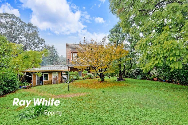 53 Winbourne Street, WEST RYDE NSW 2114, West Ryde - Thumbnail 4