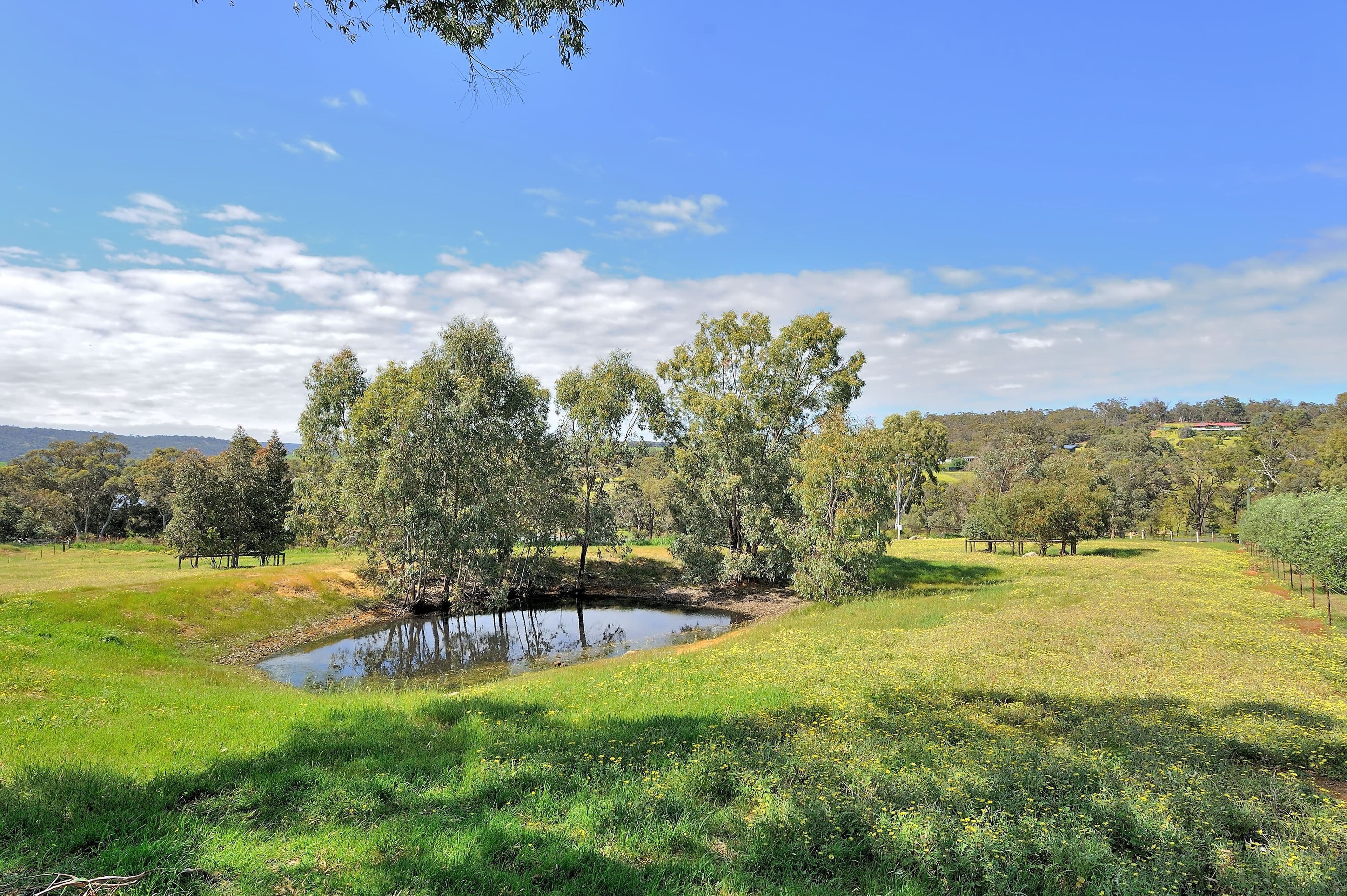 381 Smith Road, Bullsbrook WA 6084, Bullsbrook - Thumbnail 4