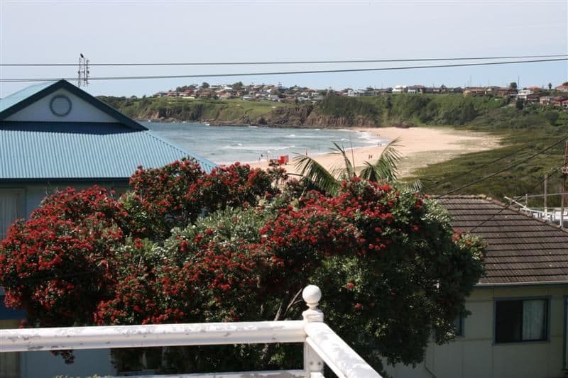 49 Johnson Street, KIAMA DOWNS NSW 2533, Kiama Downs - Thumbnail 2