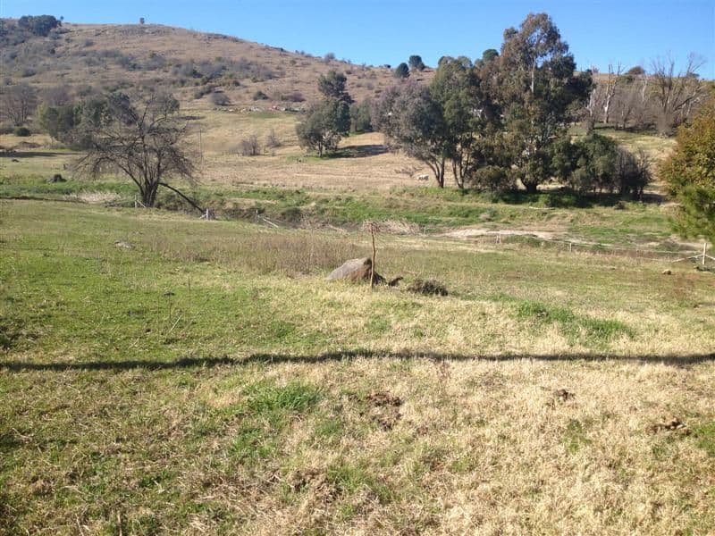 29A Quartz Street, Adelong NSW 2729, Adelong - Image 1