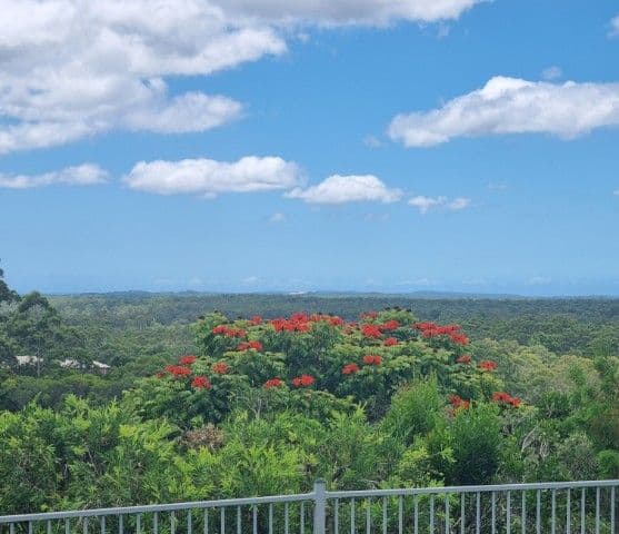 10 She Oak Close, Black Mountain QLD 4563, Black Mountain - Thumbnail 2