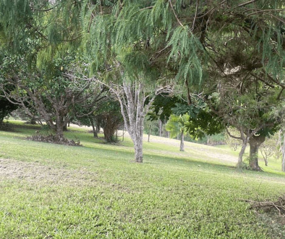 10 She Oak Close, Black Mountain QLD 4563, Black Mountain - Thumbnail 4