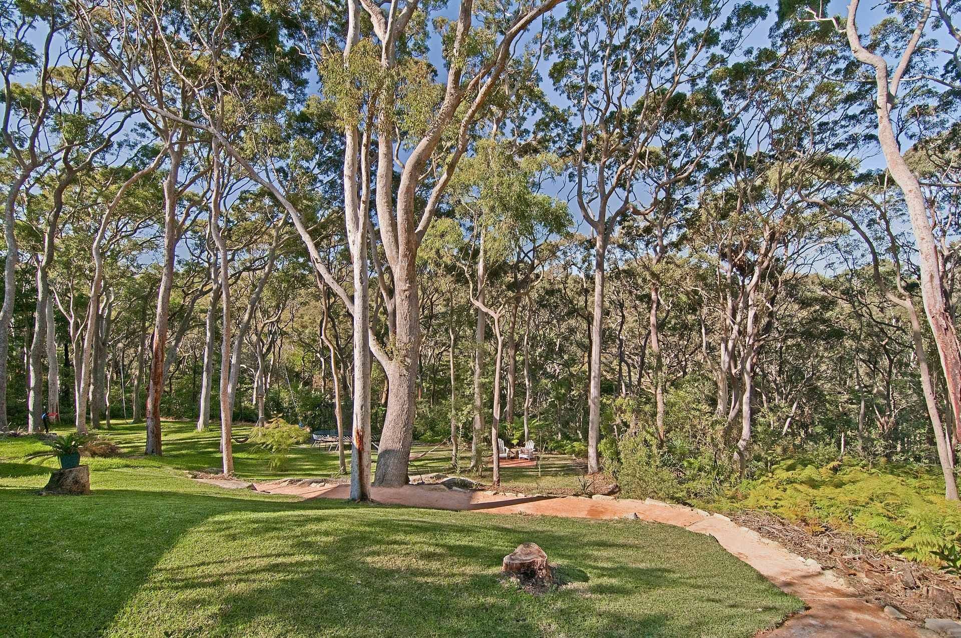 7 Werona Road, RIVERVIEW NSW 2066, Riverview - Thumbnail 8