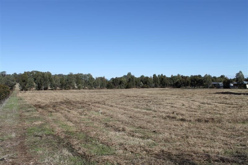 41L Debeaufort Drive, DUBBO NSW 2830, Dubbo - Image 1