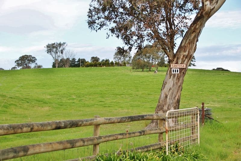 111 Ricketts Road, YOUNG NSW 2594, Young - Thumbnail 2