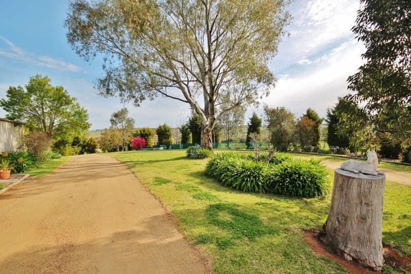 111 Ricketts Road, YOUNG NSW 2594, Young - Thumbnail 3