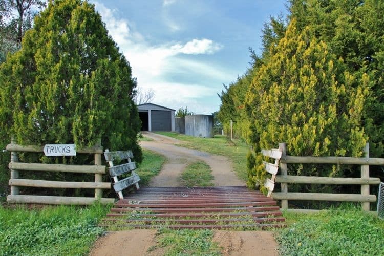 111 Ricketts Road, YOUNG NSW 2594, Young - Thumbnail 5