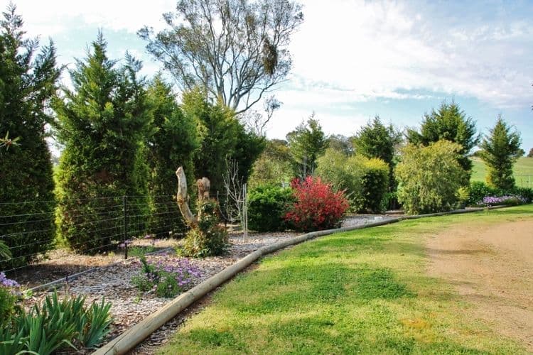 111 Ricketts Road, YOUNG NSW 2594, Young - Thumbnail 6