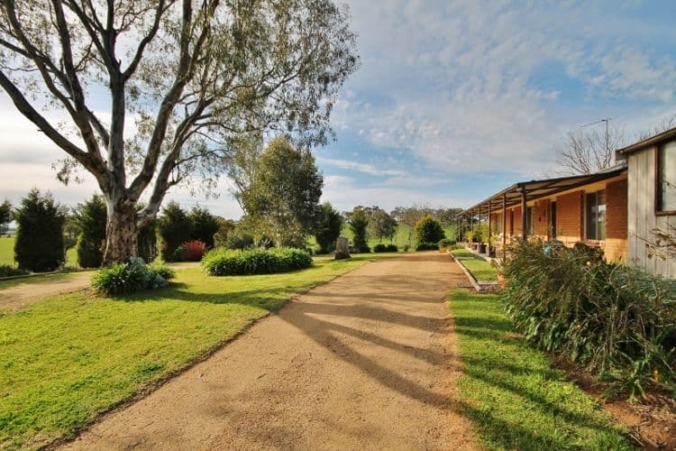 111 Ricketts Road, YOUNG NSW 2594, Young - Thumbnail 7