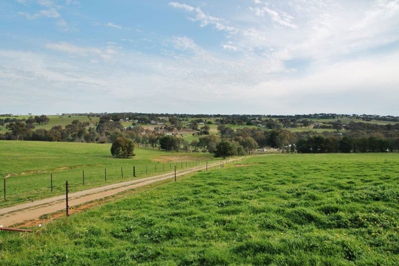 111 Ricketts Road, YOUNG NSW 2594, Young - Thumbnail 8