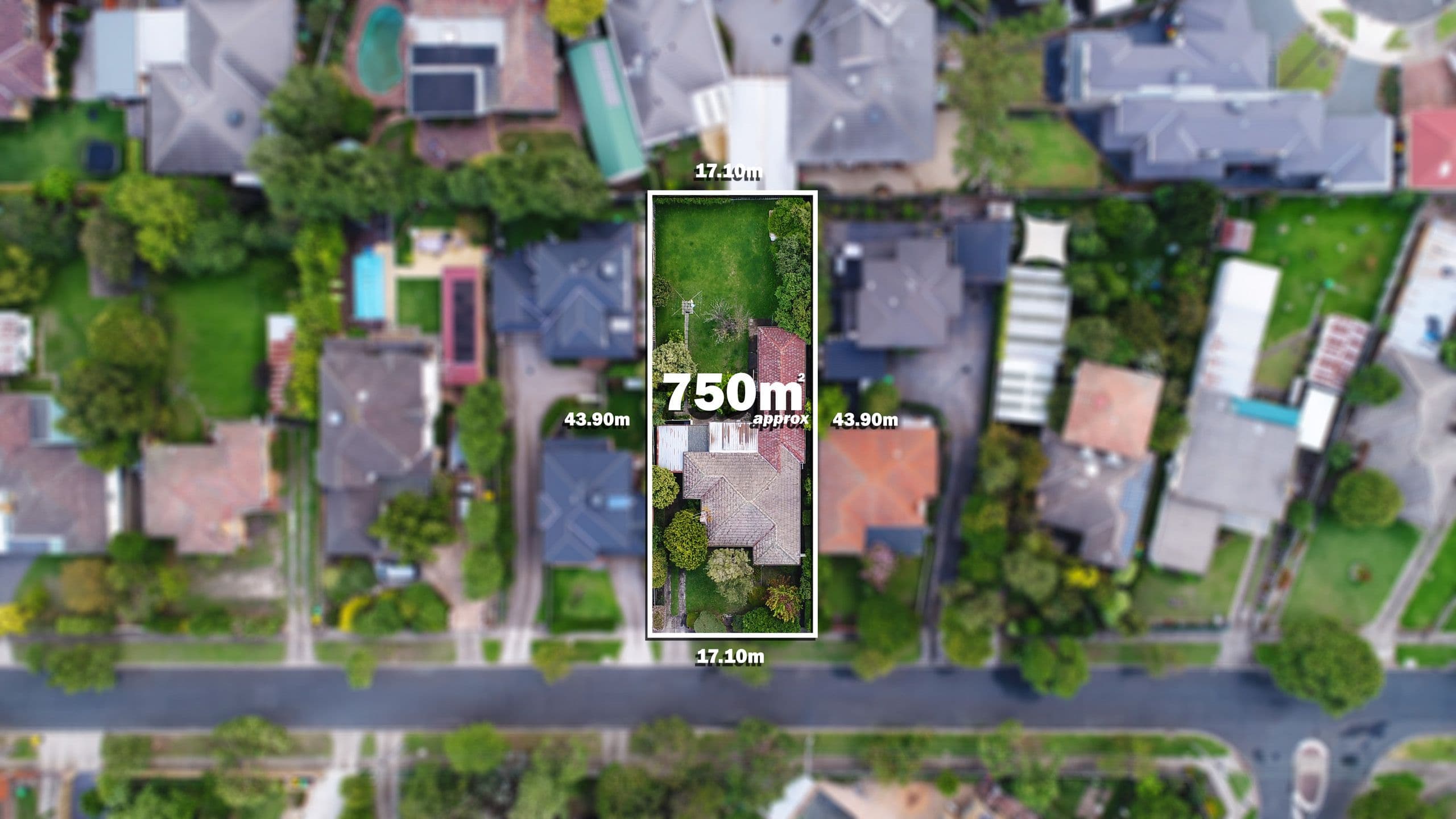 47 Andrews Street, Burwood VIC 3125, Burwood - Thumbnail 7