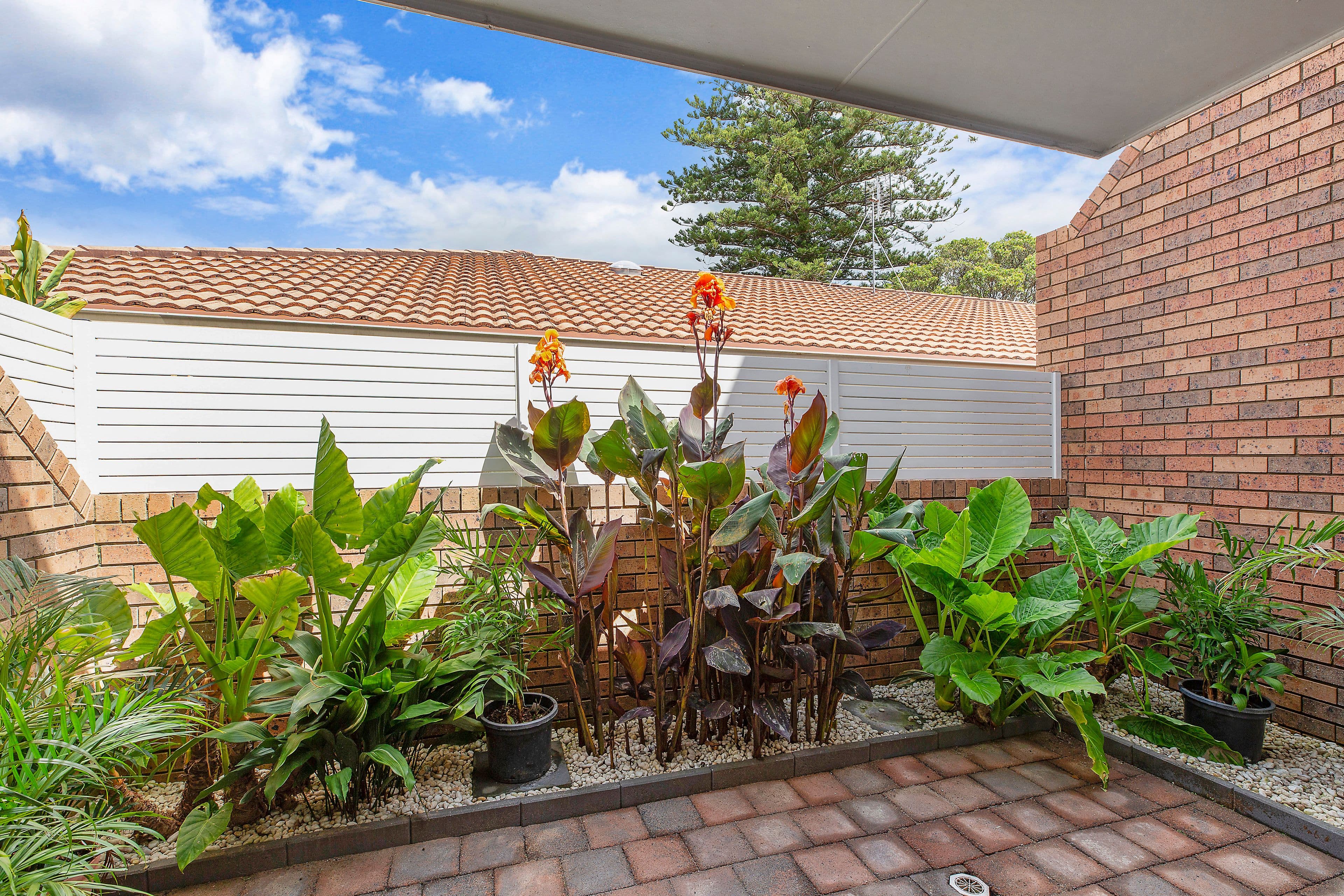 4 Bay Street, Toronto NSW 2283, Toronto - Thumbnail 7