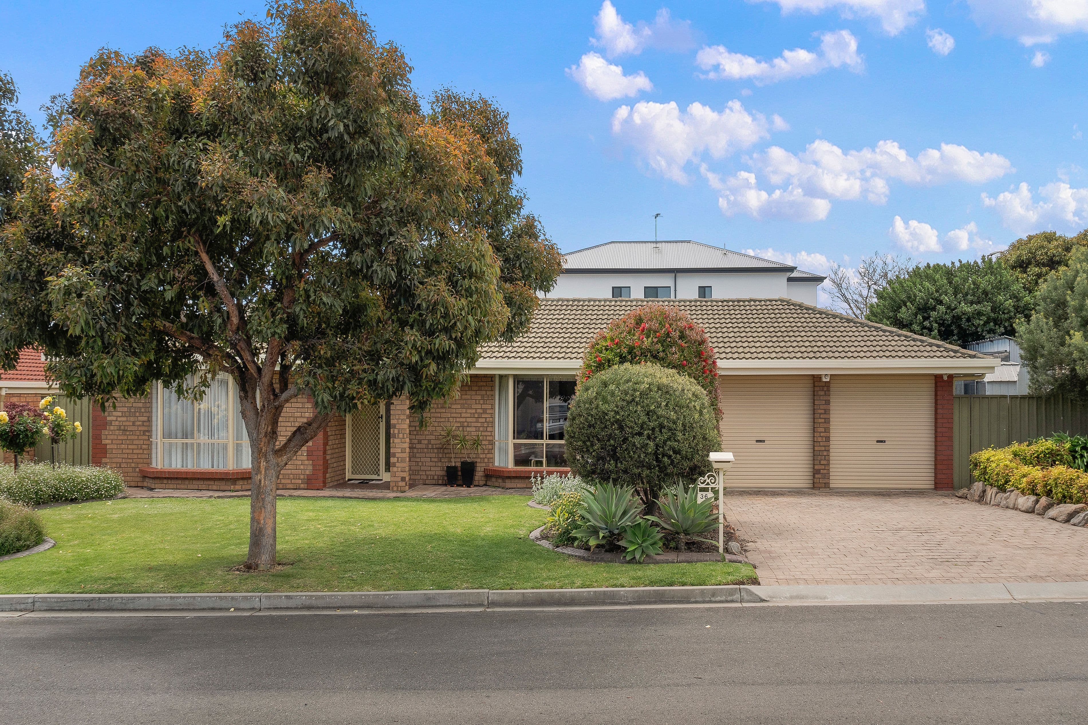 36 Richland Road, Newton SA 5074, Newton - Image 1