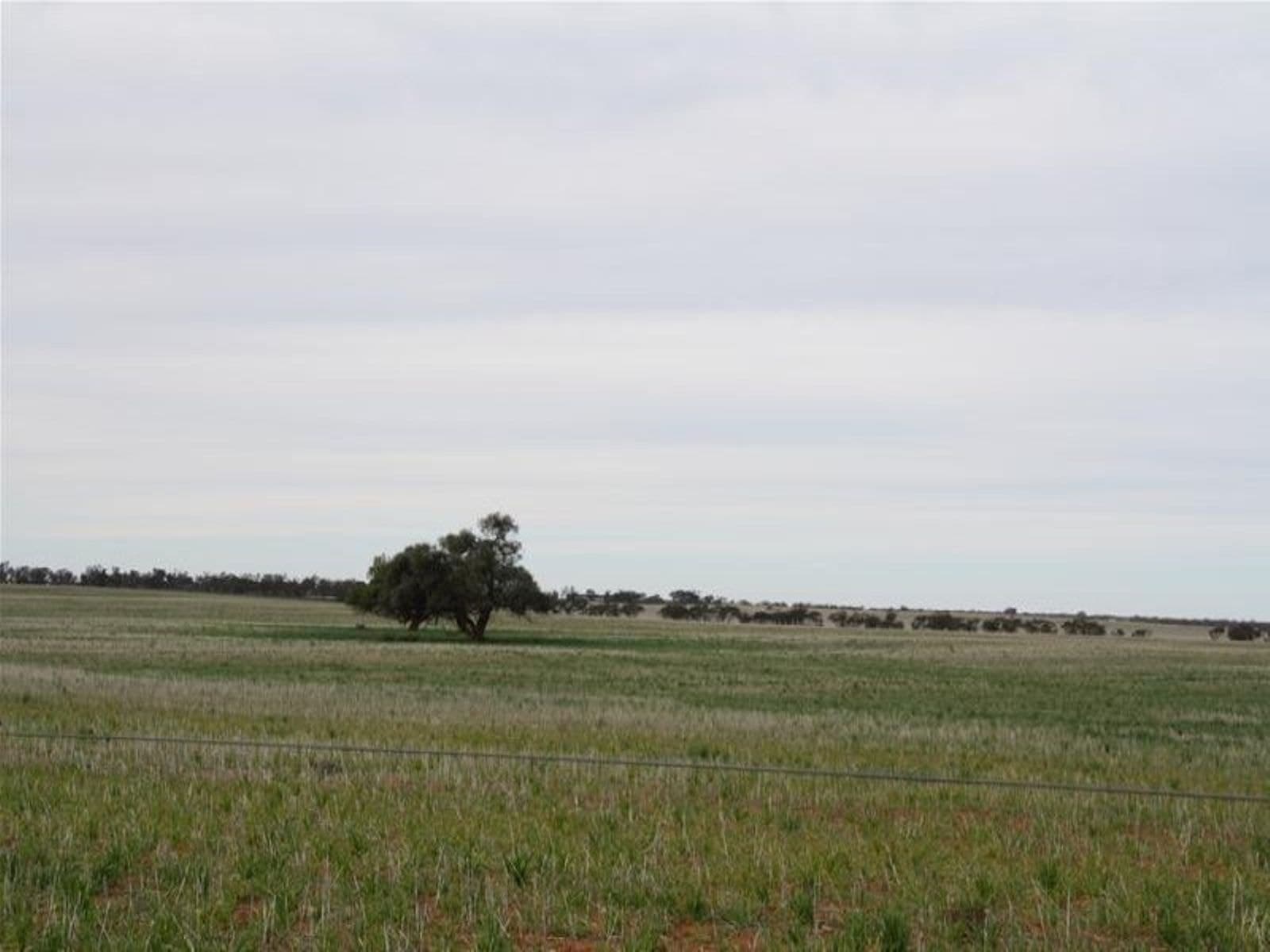 CA/47 Cnr Merrinee North Road & Kelly Road, Merbein South - Thumbnail 5