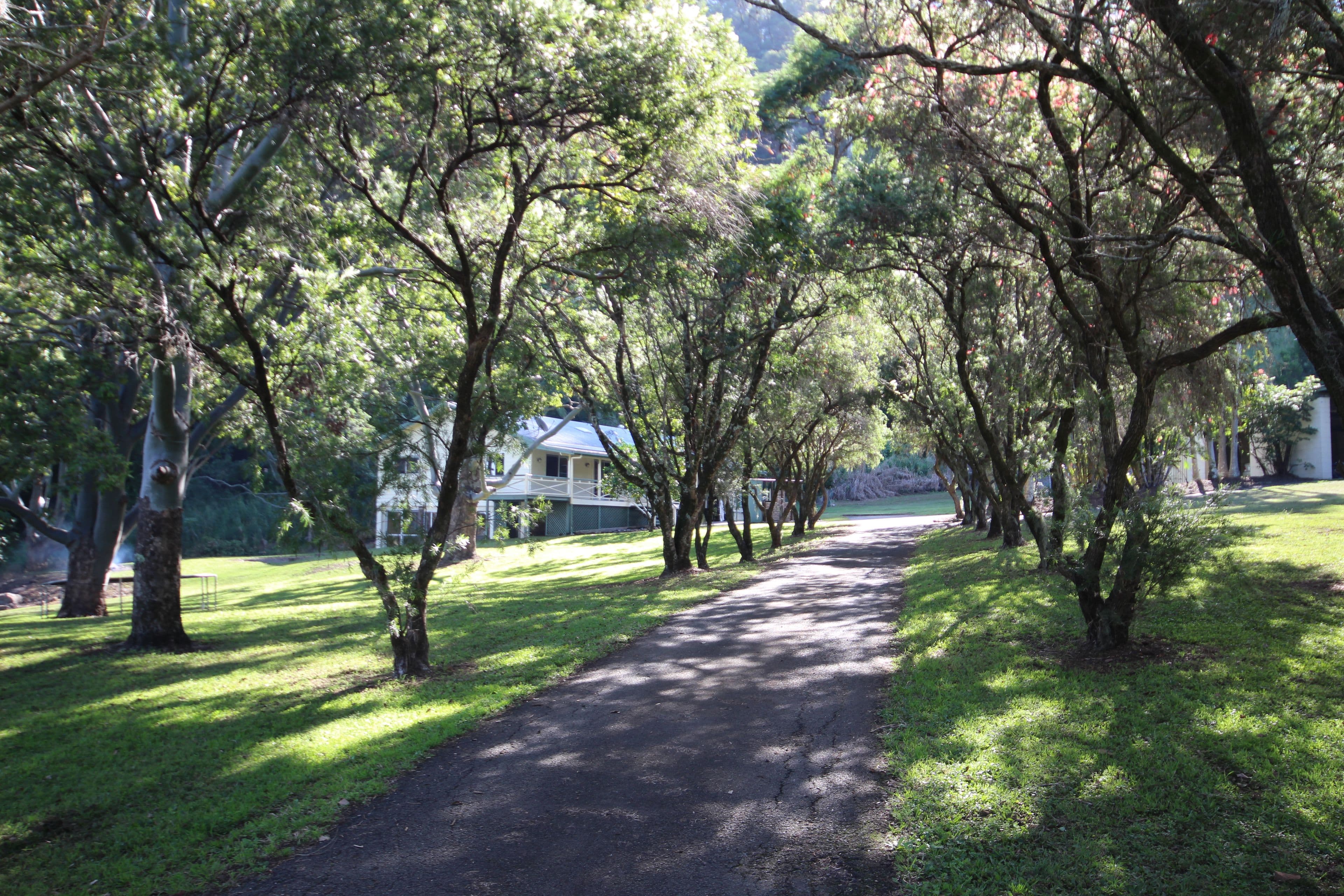 404 Mount Mellum Road, Mount Mellum QLD 4550, Mount Mellum - Thumbnail 2