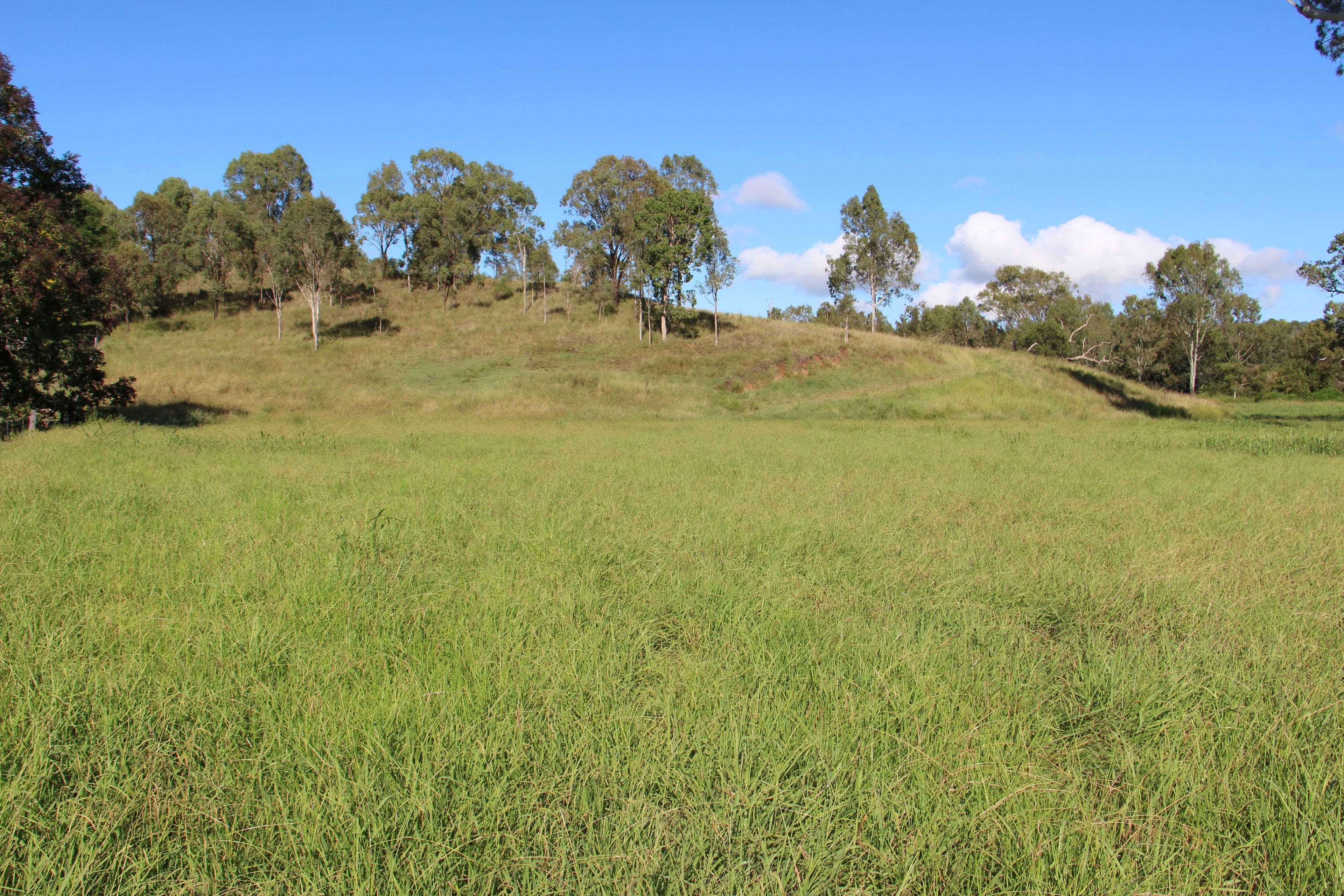 0 Widgee Creek Road, Hillview QLD 4285, Hillview - Thumbnail 2