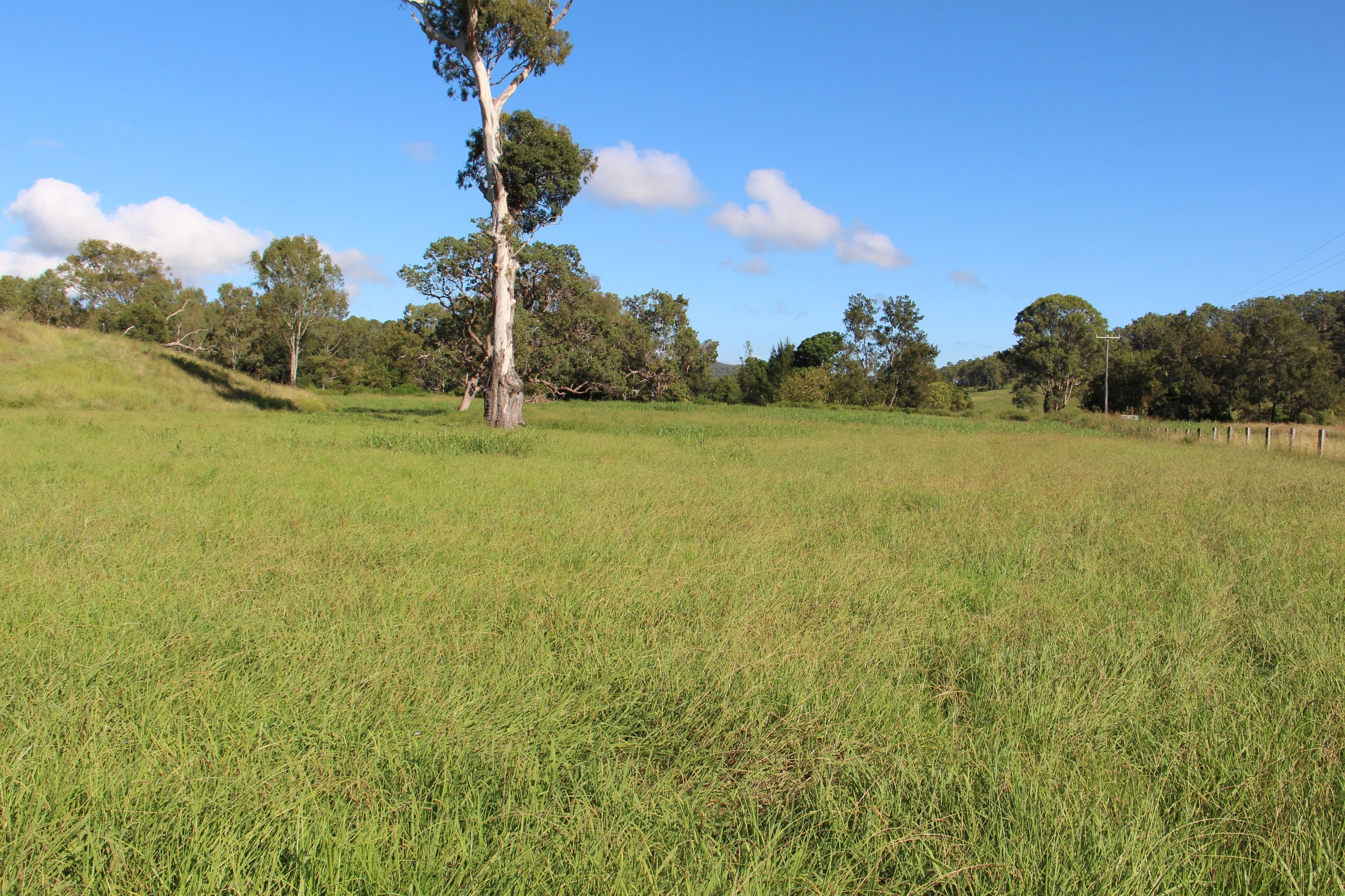 0 Widgee Creek Road, Hillview QLD 4285, Hillview - Thumbnail 3