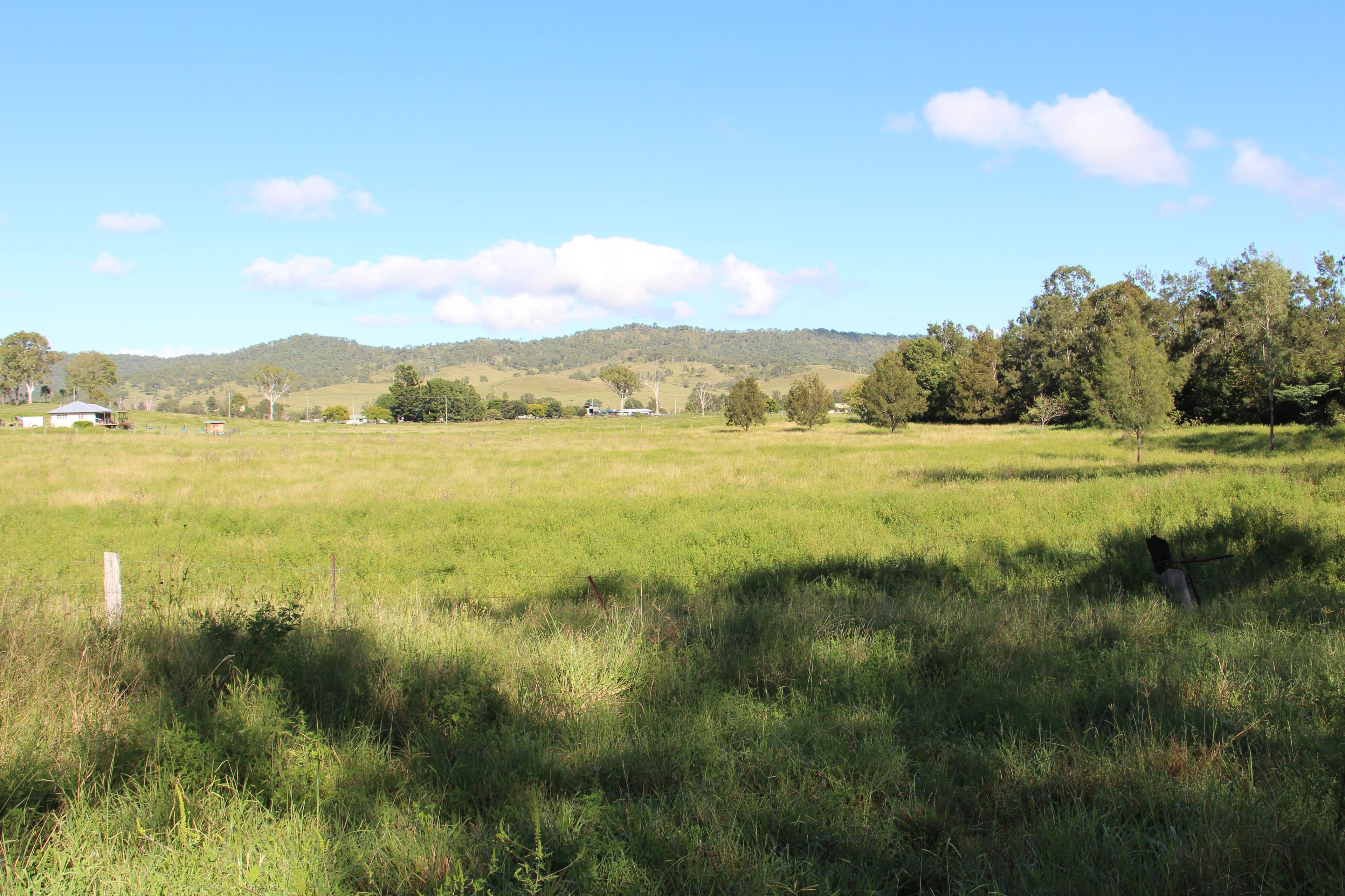 0 Widgee Creek Road, Hillview QLD 4285, Hillview - Thumbnail 4