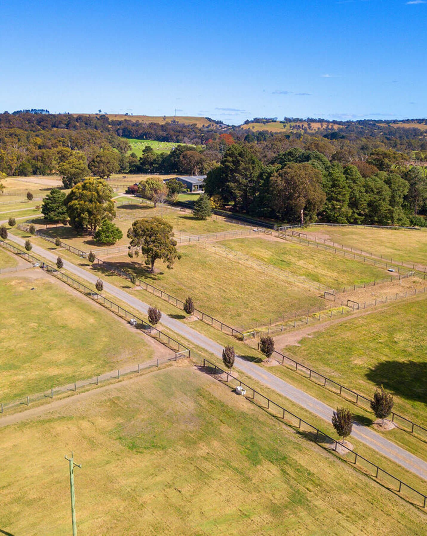 Woodlands, Woodlands - Image 1