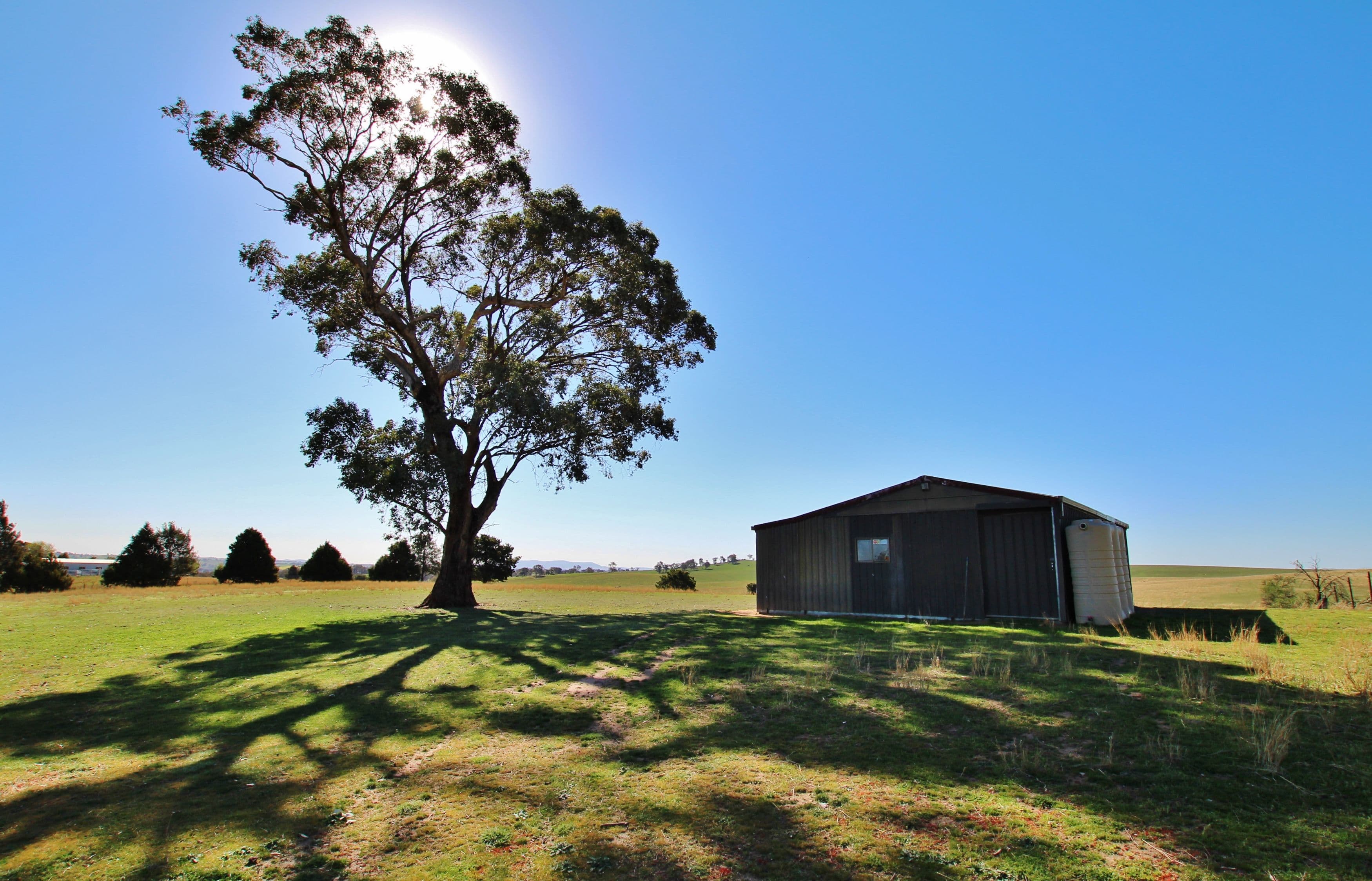 180 Waterview Road MONTEAGLE, Young NSW 2594, Young - Thumbnail 5