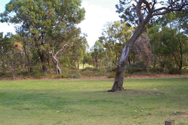 6 Polyantha Gardens, MIRRABOOKA WA 6061, Mirrabooka - Thumbnail 2